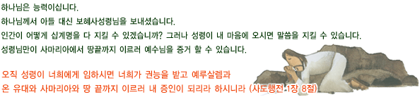 하단 장식 이미지